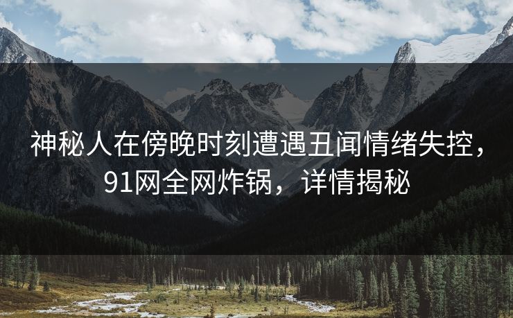 神秘人在傍晚时刻遭遇丑闻情绪失控，91网全网炸锅，详情揭秘